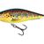 Executor 5 Shallow Runner Trout