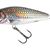 Perch 8 Floating Holographic Grey Shiner