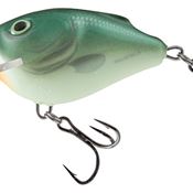 qsq003-squarebill-green-back-herring-5cmjpg