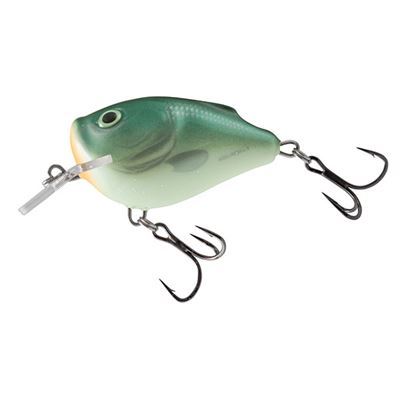 qsq003-squarebill-green-back-herring-5cmjpg